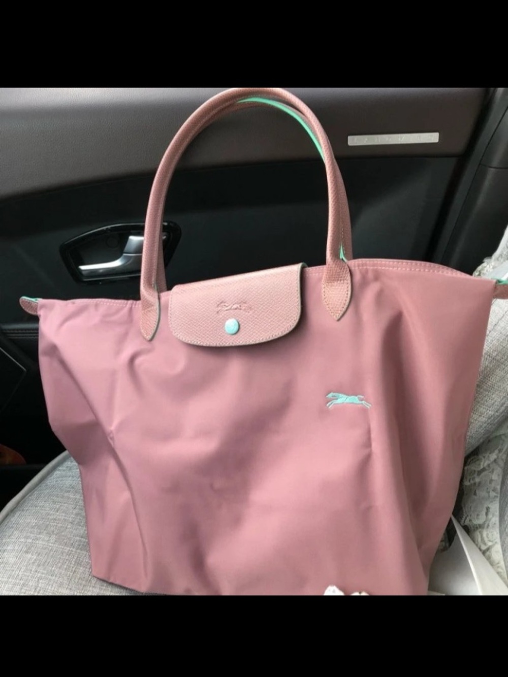 Longchamp Tote Bag - Rose Mauve with Mint Trim